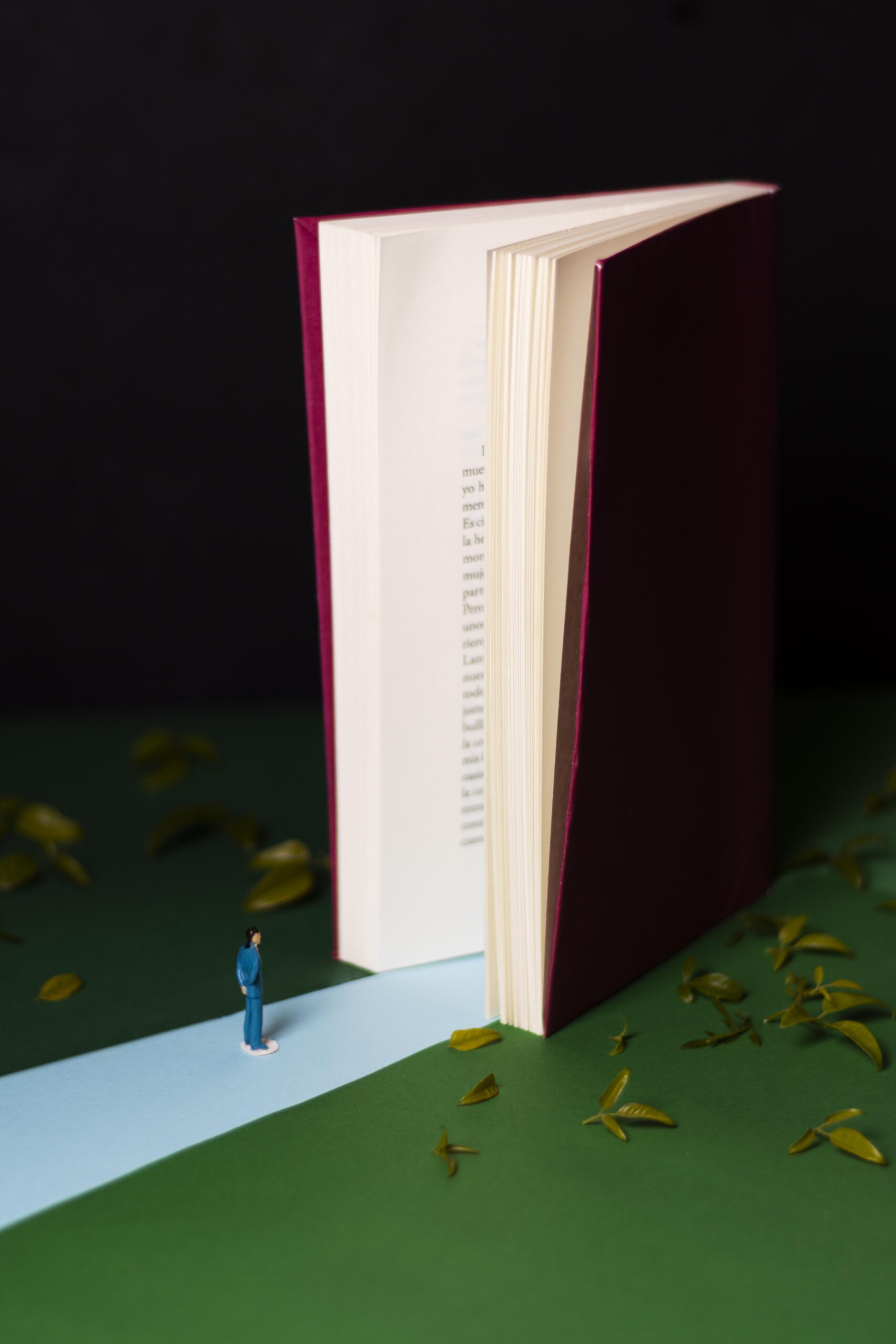 libros-e-imaginacion-bodegon